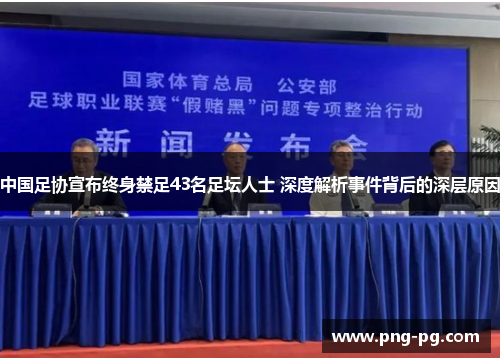 中国足协宣布终身禁足43名足坛人士 深度解析事件背后的深层原因