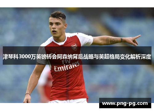 津琴科3000万英镑转会阿森纳背后战略与英超格局变化解析深度